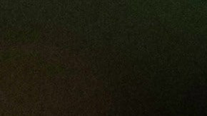 Victor Manuel Vucetich