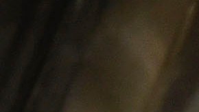 Chivas de Guadalajara