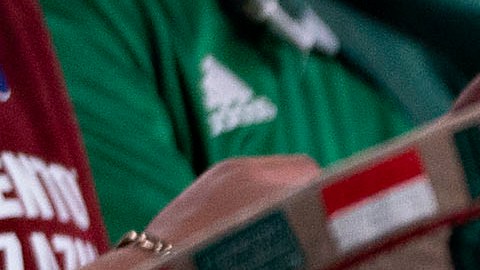 Aficionados mexicanos