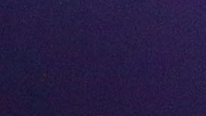 Julio César Chávez Jr.