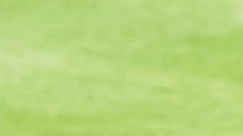 México béisbol.