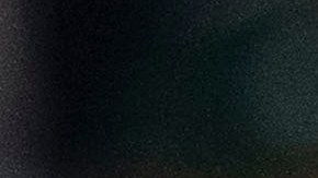 Héctor Herrera y Weston McKennie