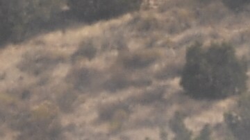 Revelan nombre de bombero sospechoso de matar a su compañero en estación de Agua Dulce