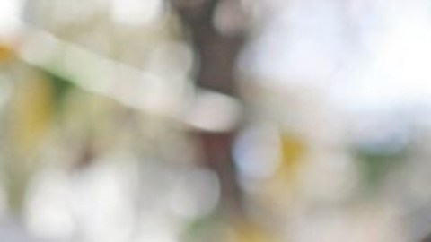 El triunfo de Hassler fue otra de las derrotas de la coalición de gobierno de Sebastián Piñera.