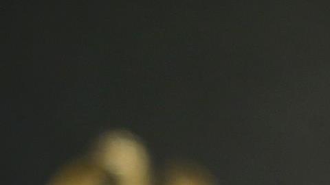 Joe Biden advierte de los daños de la variante Delta