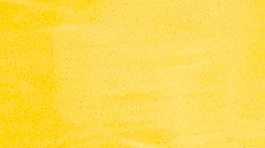 Juan Toscano Anderson no ira al Preolimpico con Mexico