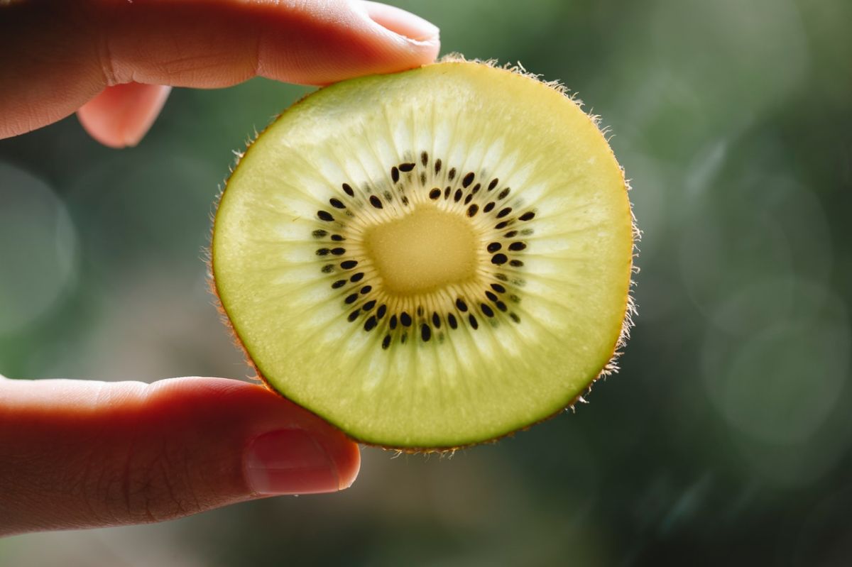 Kiwi