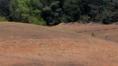 Lago Oroville, California