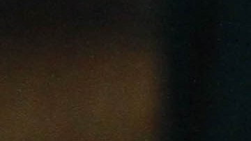 Batalla campal en Liga Mexicana de Beisbol