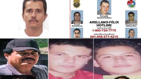 Los Chapitos se alían con los Arellano Félix para vencer al CJNG el Mencho