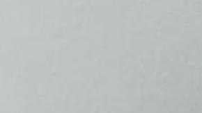 María Elena Serrano Maldonado es diputada migrante plurinominal por el PRI. (Cortesía María Elena Serrano)