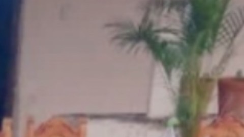 Matan a 6 de una familia mientras convivían en fiesta, en zona asediada por La Familia Michoacana