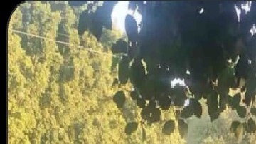 Matan a policía relacionado con el CJNG; era acusado de asesinar y desaparecer a rivales