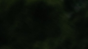 Foto del Nissan Ariya en el exterior