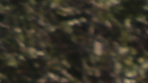 Los menores de 6 años deben entrar al agua con uno de sus padres o tutor. / fotos: Jorge Luis Macías.