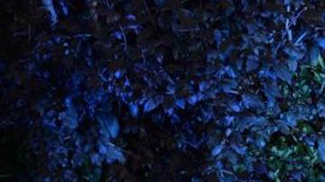 Con el apoyo de amigos y familia, Paulina Rodríguez celebra sus quince años. (Cortesía Fotos Fernando de la Cruz)