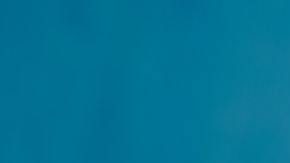 suplemento en polvo-cafeína-proteína