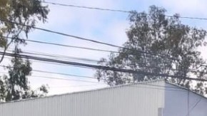 Restos humanos y quema de votos, reportan en zona fronteriza durante elecciones en México