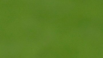 Rogelio Funes Mori ya es mexicano