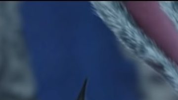 Space Jam: A new Legacy