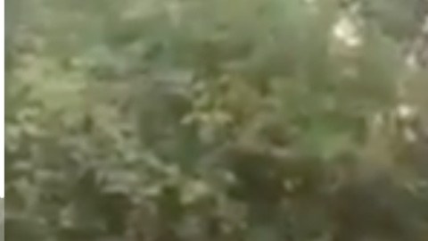 VIDEO: "Ganen o pierdan, son contrarios al CJNG”, advierten sicarios del Mencho a políticos mexicanos