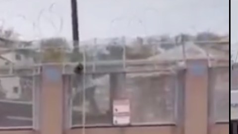 VIDEO: 5 inmigrantes trepan muro fronterizo y llegan a Arizona; detienen a uno y los demás escapan
