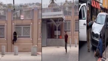 VIDEO: 5 inmigrantes trepan muro fronterizo y llegan a Arizona; detienen a uno y los demás escapan