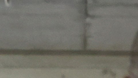 Vacunación en San José