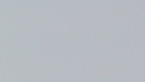 Foto enviada por el autor para esta nota. Enormes soluciones para un enorme problema.