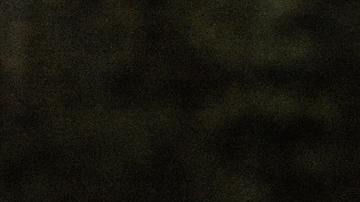 El amor verdadero de los signos