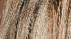 Amuletos para bebés