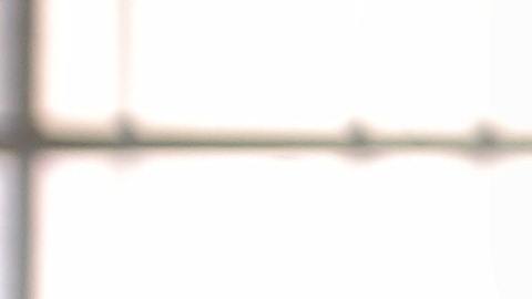 Foto de un mecánico revisando el motor de un auto