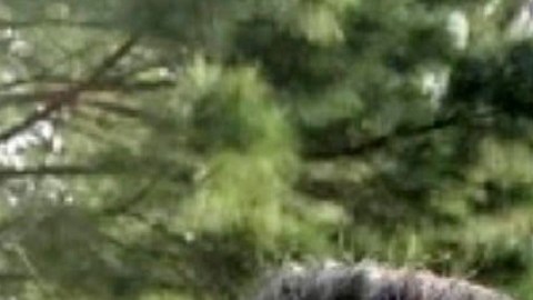 Karumi Durán quedó varada en México, mientras su esposo y bebé viven en EE.UU.