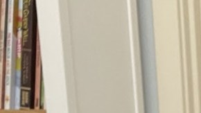 Quién es Pedro Linares López, el mexicano a quien Google dedica hoy su Doodle