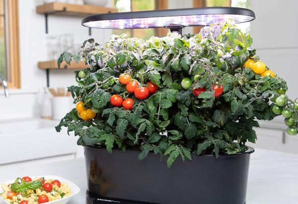 5 jardines hidropónicos para tener en tu hogar y cultivar tus propias