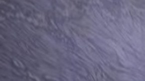 Video: Kimberly Loaiza y Juan de Dios Pantoja presumen su bello apartamento en CDMX