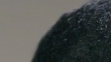 'La Hija del Embajador' se enfrenta a 'Café Con Aroma de Mujer'