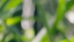 Osvaldo Benavides y Silvia Navarro en el gran final de 'La Suerte de Loli'