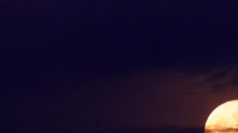 Horóscopo de la Luna de Fresa