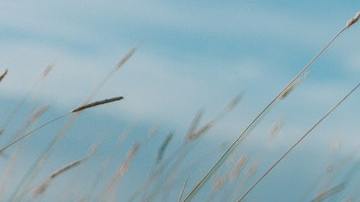 Cómo saldar deudas con el karma