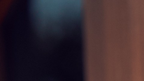 nuevos emprendimientos en Estados Unidos