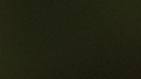 Bolívares venezolanos son utilizados para demostrar que las criptomonedas no son dinero real.