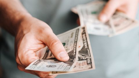 El calendario de los 25 estados que se decidieron a eliminar los beneficios de desempleo para promover el empleo-pexels-karolina-grabowska-4386417.jpeg
