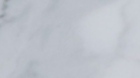 Organizaciones sin ánimo de lucro continúan presionando para conseguir pagos adicionales-pexels-karolina-grabowska-4968665.jpeg