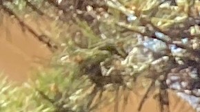 Marilaura López (izq.) cuenta el susto que se llevó luego de ser agredida mientras trabajaba.