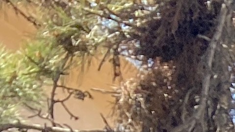 Marilaura López (izq.) cuenta el susto que se llevó luego de ser agredida mientras trabajaba.