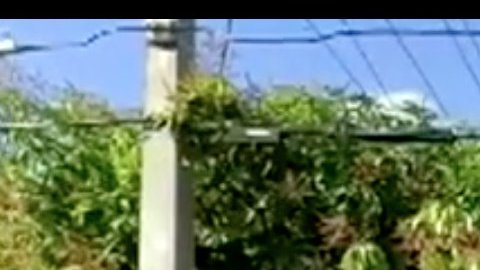 Una segunda propiedad también fue puesta a la venta sin que la mujer lo supiera.