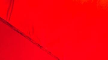 El grado de homosexual de tu signo