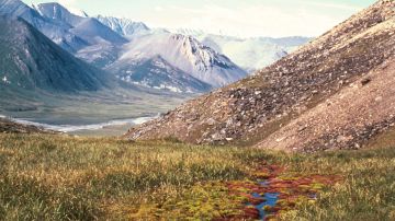 El valle de Hulahula en el Refugio Nacional de Vida Silvestre del Ártico en Alaska.