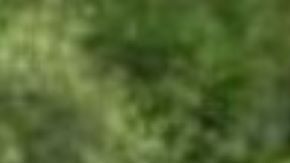 Abram Salas II no se presentó en la base militar el 23 de junio.